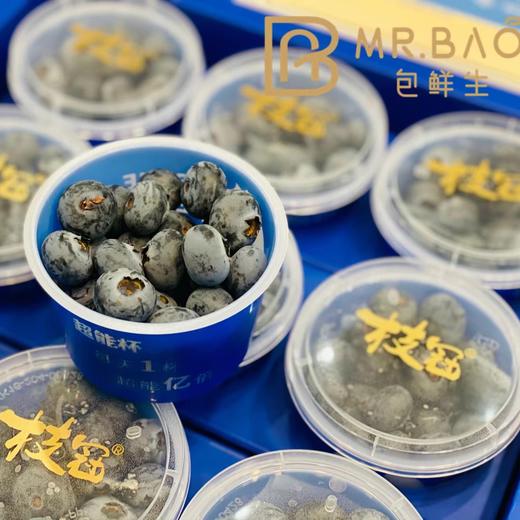 枝冠超能杯蓝莓18+（9盒/箱） 商品图0
