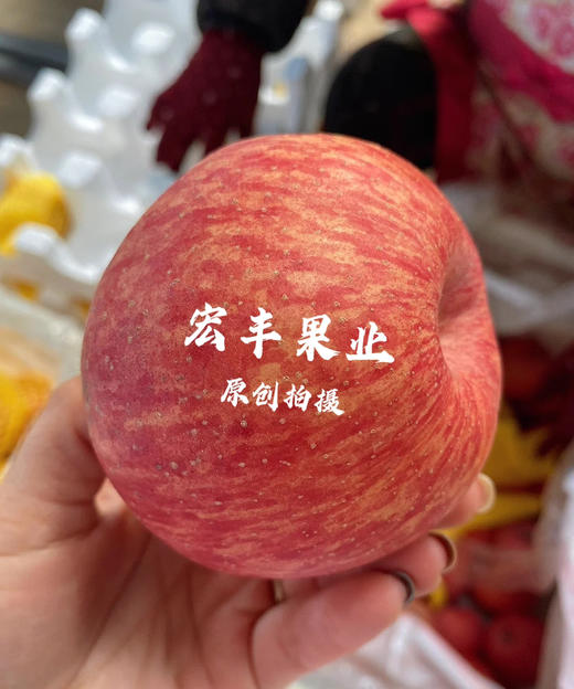 产地直发洛川苹果 条纹漂亮 口感甜脆 活动价9.8元一斤 商品图8