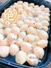 火锅节【zhen宗潮汕牛肉丸子】50多年历史【低脂牛肉丸、鱼丸虾丸、章鱼丸、蟹柳棒】好吃不易长胖！【肉质细腻爆汁 弹牙】【高蛋白、低碳水、涮火锅必备哦】~煮面、麻辣烫、做干锅、做关东煮，真的太刚需 商品缩略图12