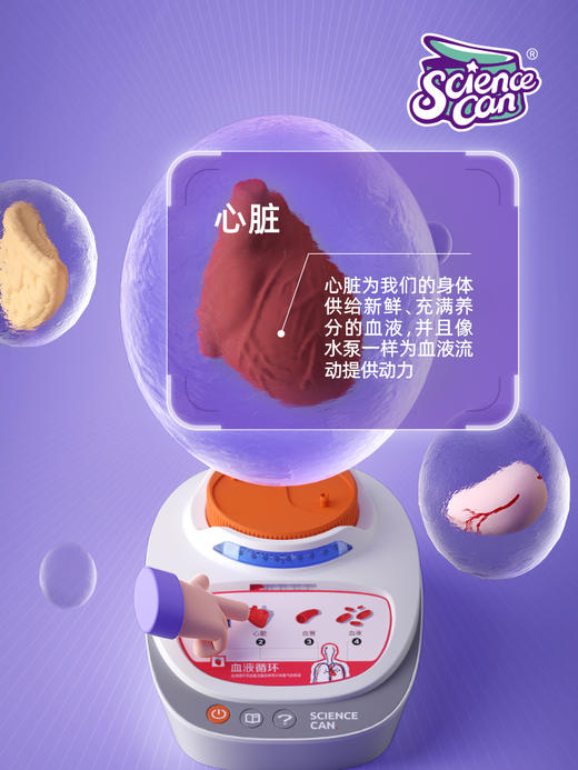 科学罐头 160022我们的身体语言百科 商品图3