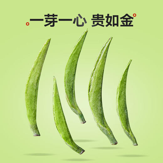 茶叶| 金坛雀舌茶叶 礼盒装  250g/盒 500g/盒 商品图3