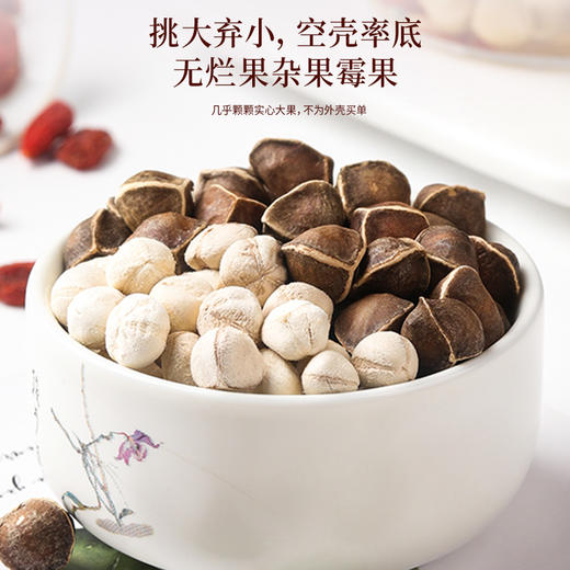 福东海 辣木子茶300克 甄选大颗新鲜干货 可泡水煲汤 养生茶 商品图4