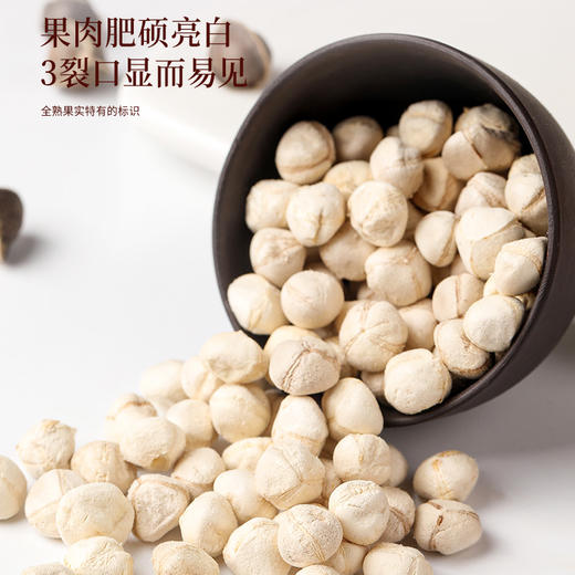 福东海 辣木子茶300克 甄选大颗新鲜干货 可泡水煲汤 养生茶 商品图6