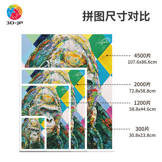 心选定制  H3196 土居弘亮 - 明日之星 - 猩猩 商品图3