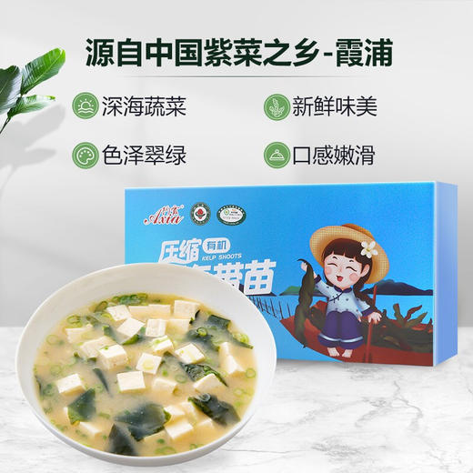 霞浦压缩有机海带苗120g支持自提 商品图1