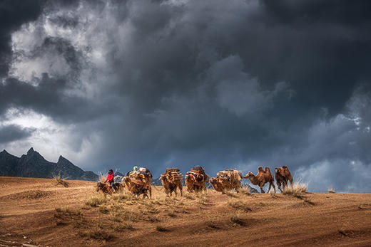 5月30日（越野车）【新疆】转场C:哈萨克牧民转场+伊犁花海+沙漠人文摄影旅游采风16天摄影团 商品图11