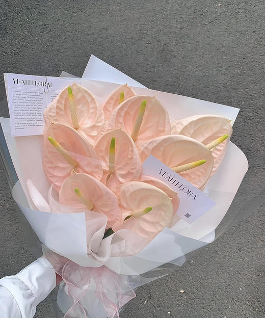 【绿光彩掌】干杯  香槟粉色 商品图1