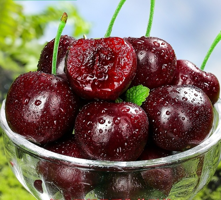 智利桑提娜车厘子2JDD五斤原箱礼盒