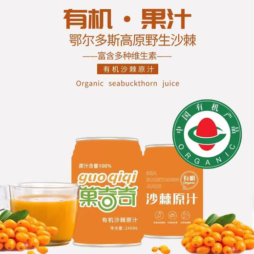 有机沙棘原汁（246ml*10罐） 商品图10