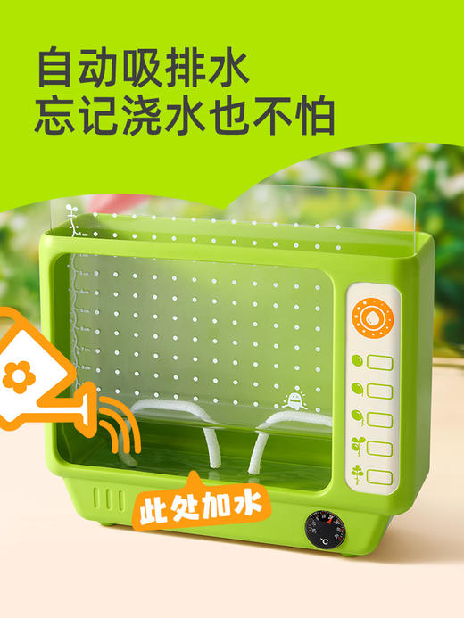 mideer弥鹿阳光种植房儿童种植小盆栽科学实验灌溉水培TV观察窗 商品图3