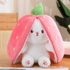【好物推荐】可爱变身草莓兔玩偶毛绒玩具胡萝卜兔小果公仔 商品缩略图2