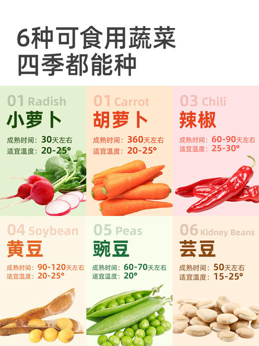 mideer弥鹿阳光种植房儿童种植小盆栽科学实验灌溉水培TV观察窗 商品图2