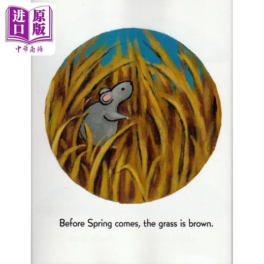 【中商原版】Kevin Henkes When Spring Comes 春天来临时 凯迪克获奖作家作品 英文原版 进口图书 儿童绘本 故事图画书 商品图3