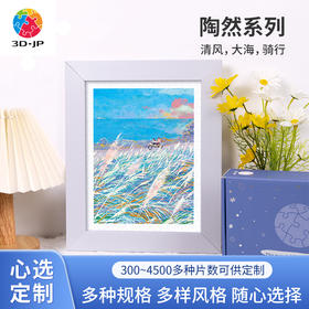 心选定制  H2971 陶然-清风，大海，骑行