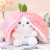 【好物推荐】可爱变身草莓兔玩偶毛绒玩具胡萝卜兔小果公仔 商品缩略图1