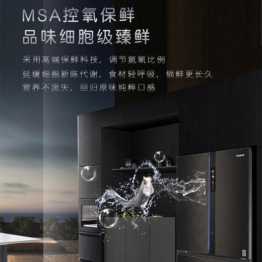 卡萨帝（Casarte）冰箱BCD-777WLCFDGAD5U1 商品图4