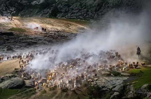 5月30日（越野车）【新疆】转场C:哈萨克牧民转场+伊犁花海+沙漠人文摄影旅游采风16天摄影团 商品图5