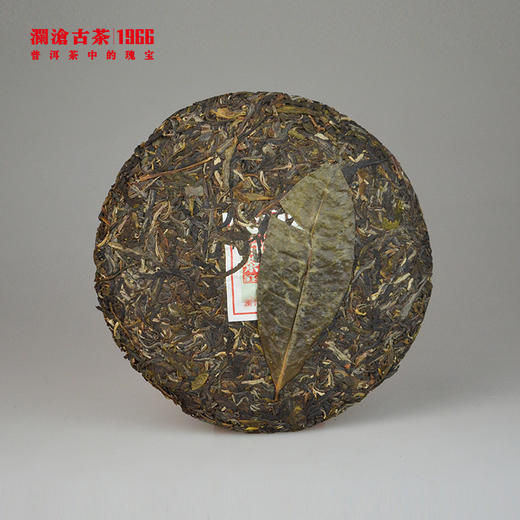 【回家之旅专享】澜沧古茶2013年荒野普洱生茶大饼357g 商品图1