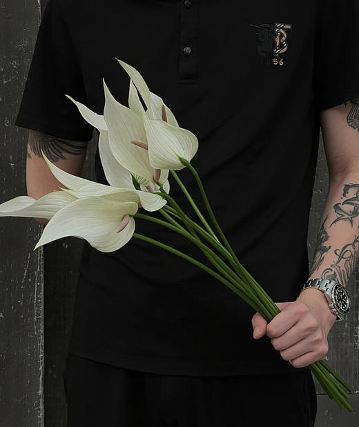 【绿光彩掌】鲁米娜 绿白掌 商品图6