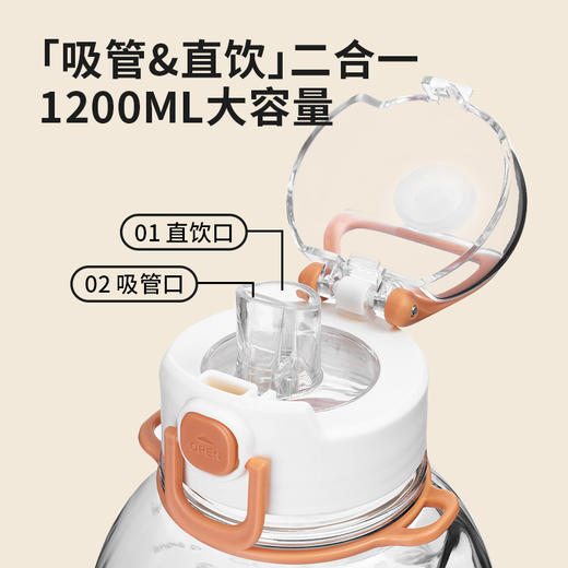 【DILLER 】迪乐贝尔 母婴级tritan运动健身便携水壶 双饮大肚杯 DB-2312 商品图4