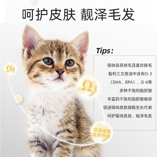 麦富迪三文鱼油成猫粮1.5kg蓝猫磷虾成猫粮美短英短美毛猫 天然粮 商品图2