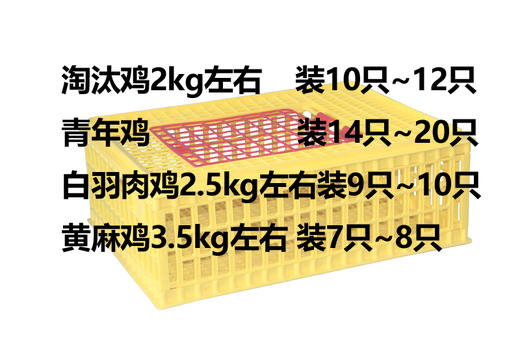 二型转鸡笼（运费到付） 商品图2