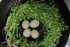 资产/野生地菜花（荠菜花） 商品缩略图1