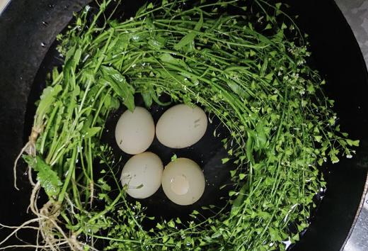 资产/野生地菜花（荠菜花） 商品图1