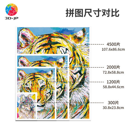 心选定制  H3193 土居弘亮 - 明日之星 - 灰狼 商品图5