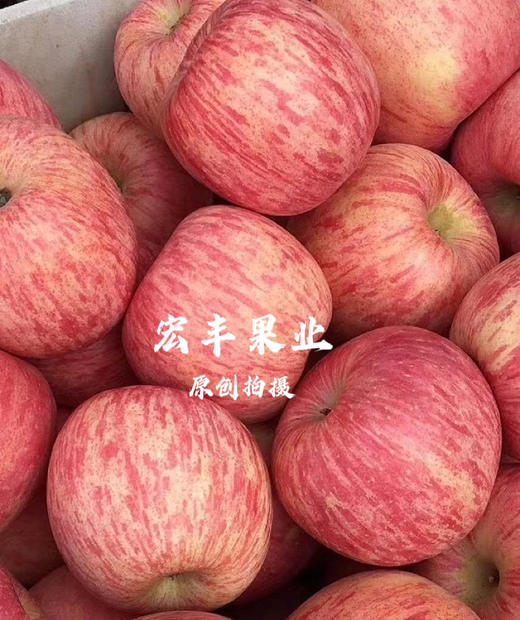产地直发洛川苹果 条纹漂亮 口感甜脆 活动价9.8元一斤 商品图2