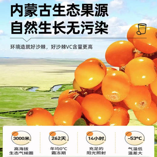 有机沙棘原汁（246ml*10罐） 商品图3
