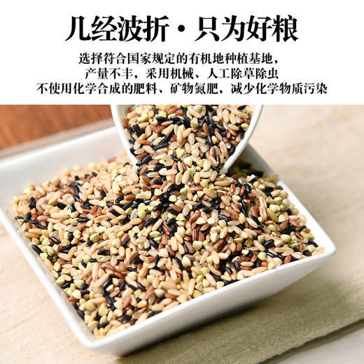 有机五色糙米300g 商品图3
