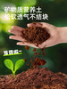 mideer弥鹿阳光种植房儿童种植小盆栽科学实验灌溉水培TV观察窗 商品缩略图4