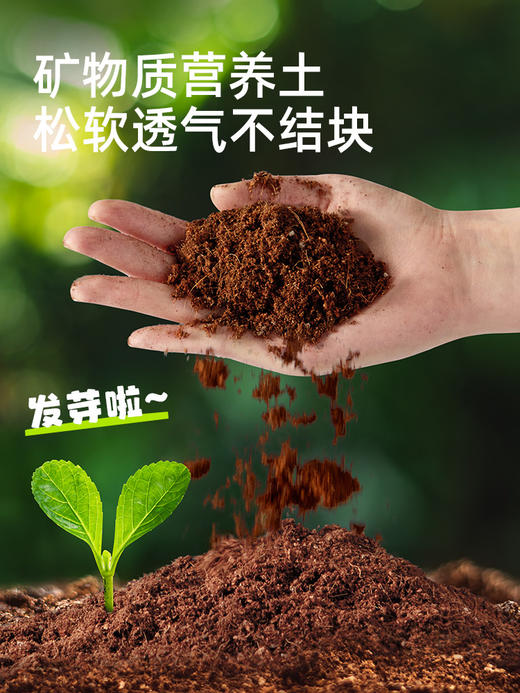mideer弥鹿阳光种植房儿童种植小盆栽科学实验灌溉水培TV观察窗 商品图4