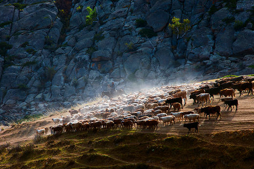 5月30日（越野车）【新疆】转场C:哈萨克牧民转场+伊犁花海+沙漠人文摄影旅游采风16天摄影团 商品图8