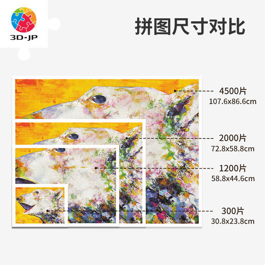 心选定制  H3200 土居弘亮 - 明日之星 - 珍藏白熊 商品图4