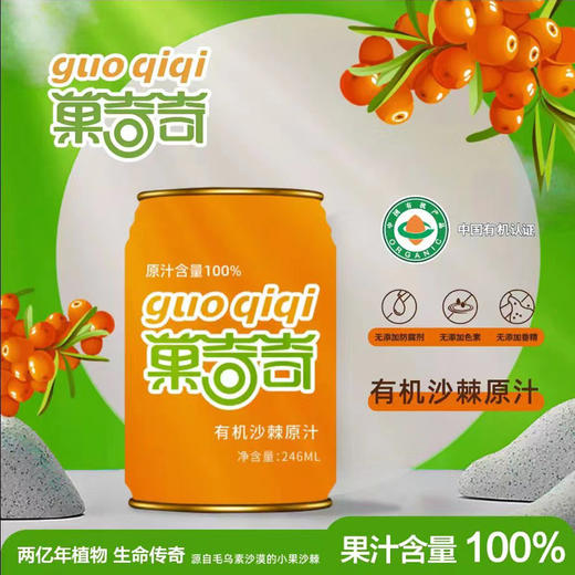 有机沙棘原汁（246ml*10罐） 商品图0