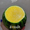 【小羽 黄西瓜】小羽黄西瓜/黑骑士，台湾引种，布丁小兰西瓜，黄瓤黑籽，口感嫩甜多汁，水份超级足！ 商品缩略图0