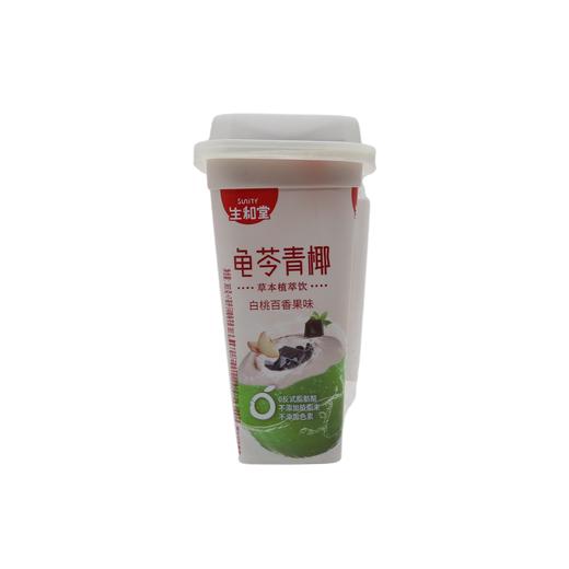 生和堂白桃百香果味椰浆可吸龟苓膏383g+7ml（6940471602751） 商品图0