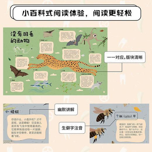 “万物了不起系列” 向上飞 用力游 使劲咬 商品图3
