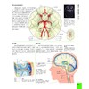 DK大脑百科 关于大脑解剖结构、功能和疾病的图解指南 第3版 商品缩略图4