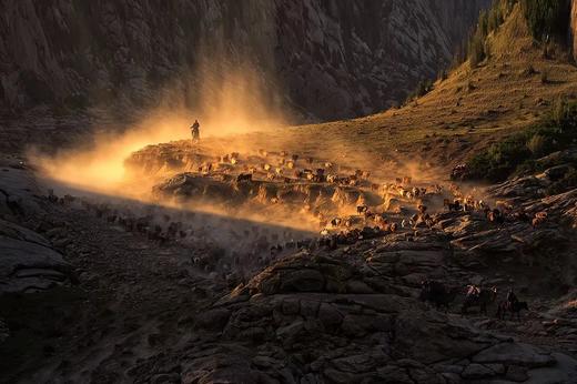 5月30日（越野车）【新疆】转场C:哈萨克牧民转场+伊犁花海+沙漠人文摄影旅游采风16天摄影团 商品图12