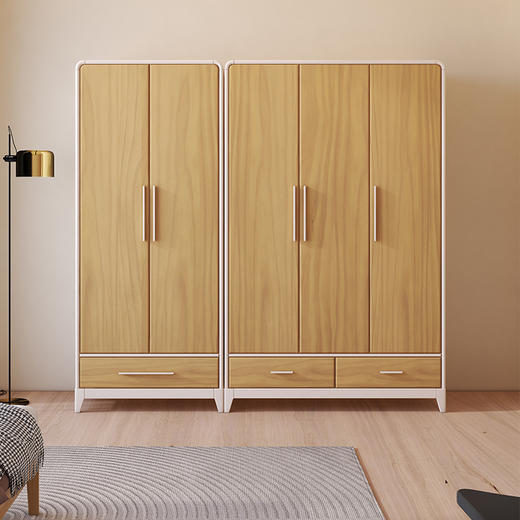 喜梦宝衣柜现代简约衣柜2门3门衣柜 对白系列 商品图0