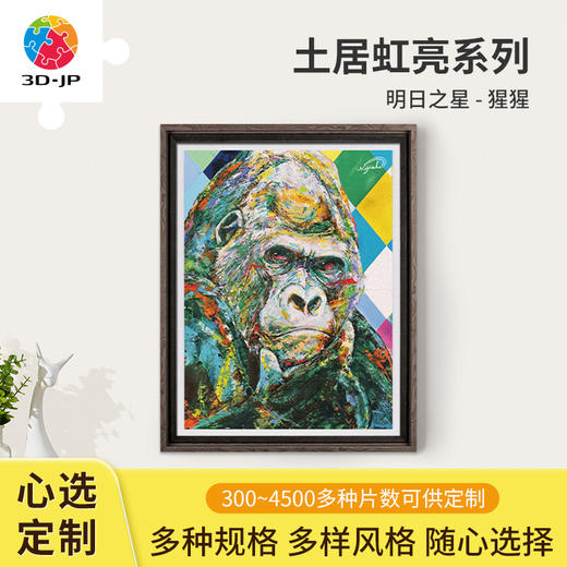 心选定制  H3196 土居弘亮 - 明日之星 - 猩猩 商品图0