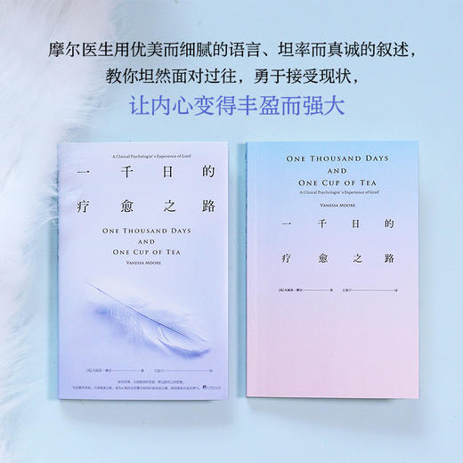 一千日的疗愈之路 商品图1