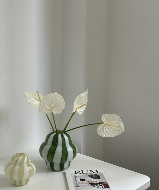 【绿光彩掌】天使  纯白掌 商品图2