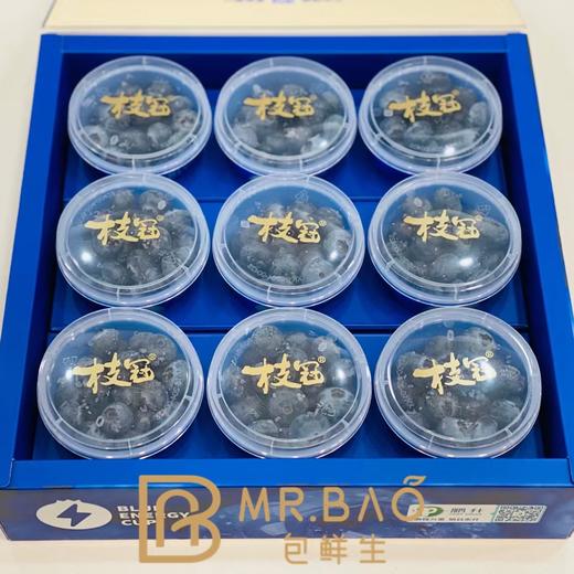 枝冠超能杯蓝莓18+（9盒/箱） 商品图1