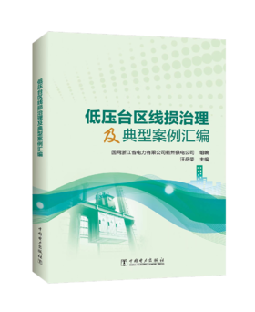 低压台区线损治理及典型案例汇编
