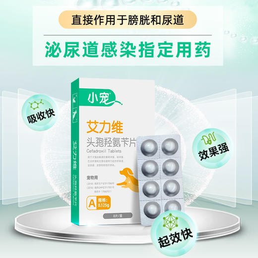 小宠艾力维A0.125g 犬猫脓皮症、泌尿道感染指定用药 商品图4