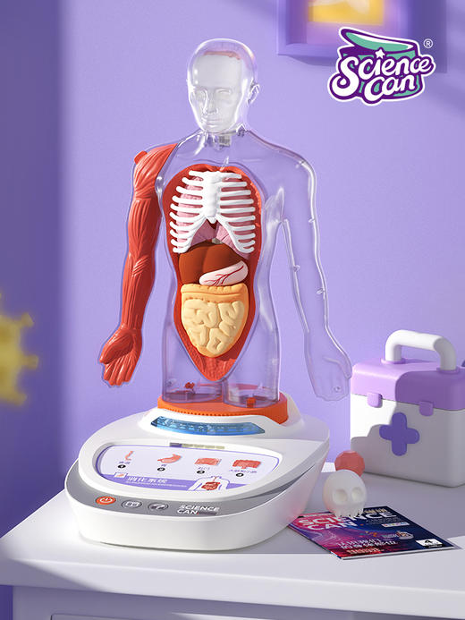 科学罐头 160022我们的身体语言百科 商品图6